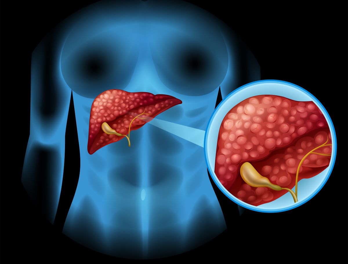 Estudo detalha como o organismo se adapta a dietas com muita proteína e nenhum carboidrato