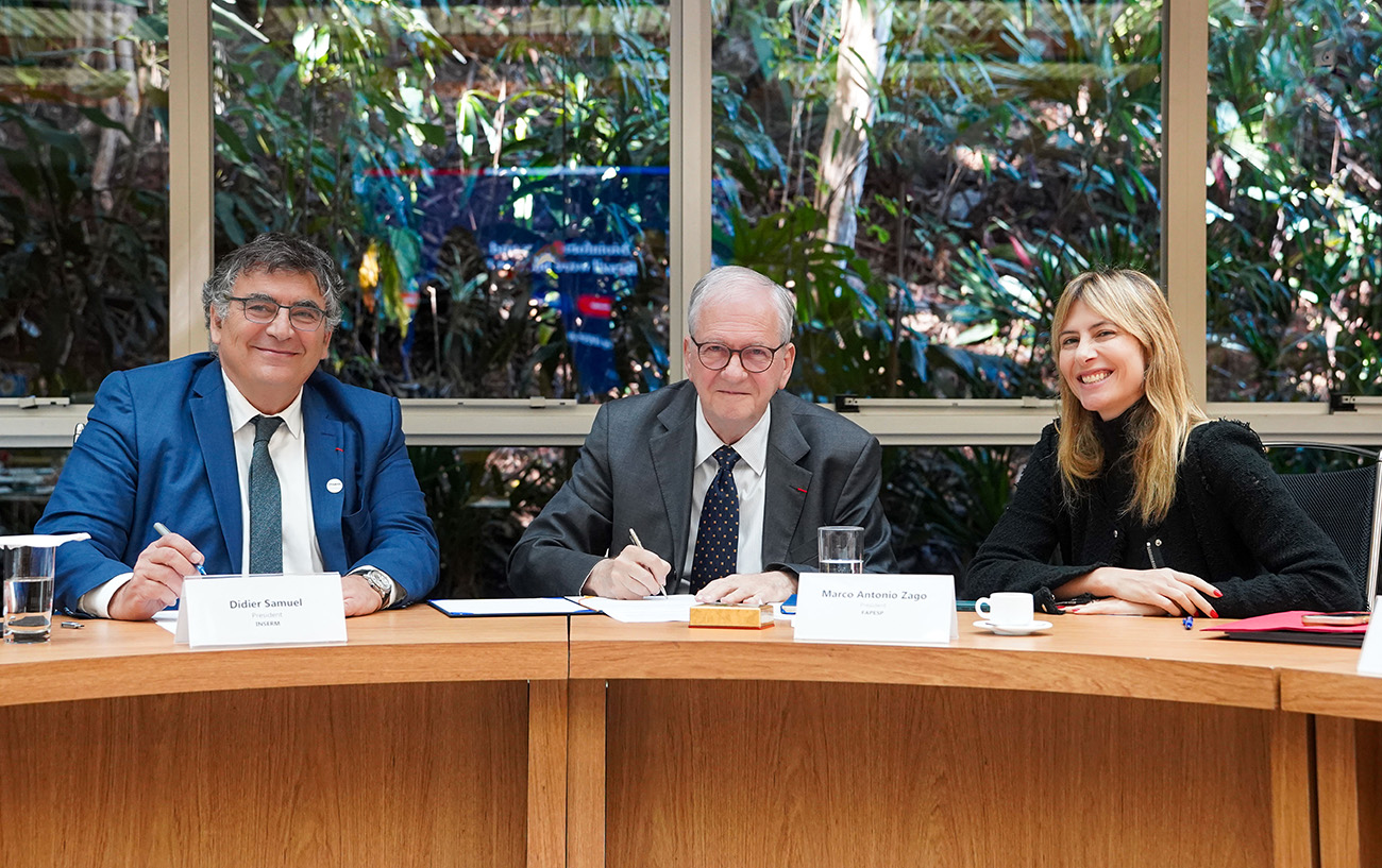 FAPESP busca cooperação com Inserm para pesquisas em doenças cardiovasculares e diabetes