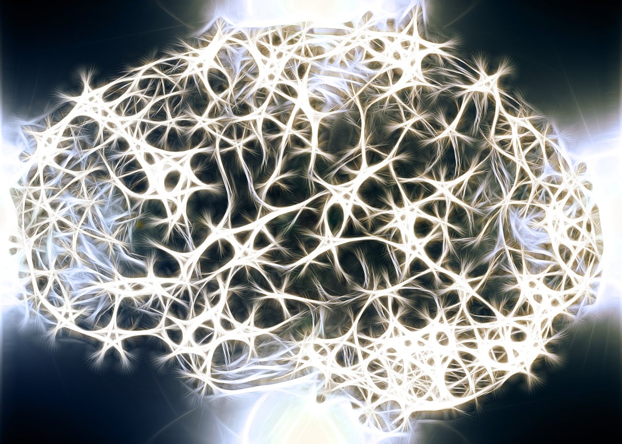 New biomarker has the potential to predict and prevent epileptic seizures