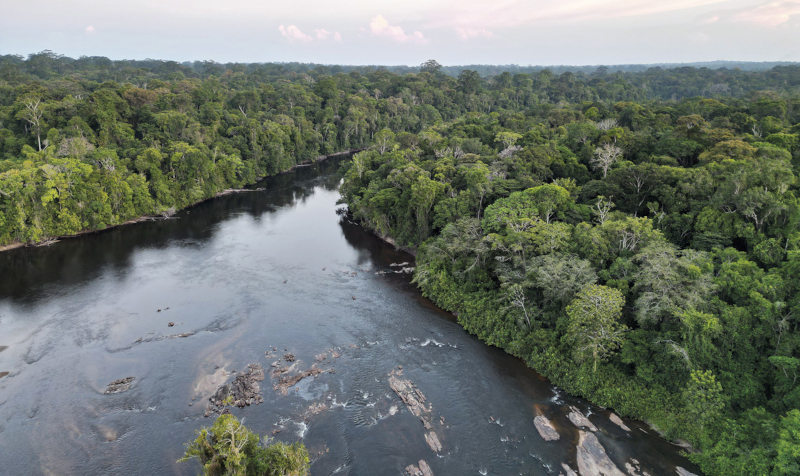 Platform presents integrated data on greenhouse gases in the Amazon