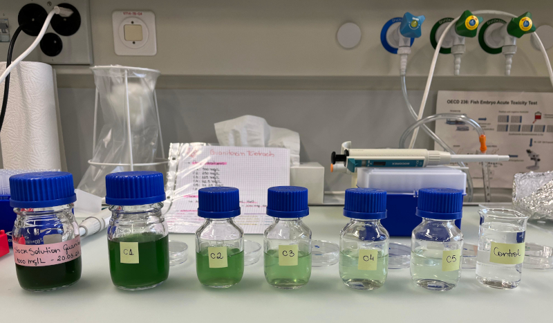 Toxina de cianobactérias aquáticas pode prejudicar a saúde por consumo de água e peixe