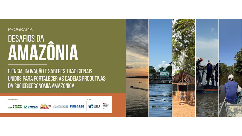 Iniciativa Amazônia+10 lança chamada para fortalecer cadeias da sociobioeconomia na Amazônia