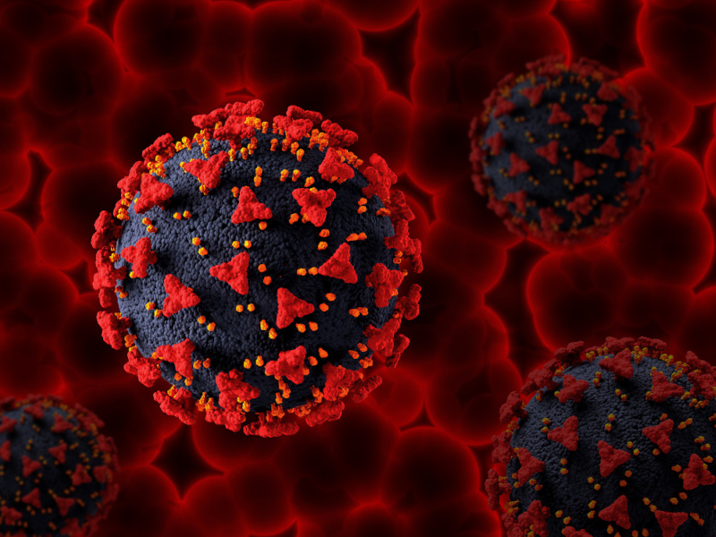 Study seeks innovative therapies against COVID-19