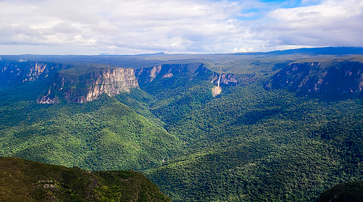 Expedição inédita vai mapear a biodiversidade do topo da Serra do Aracá, no norte do Amazonas