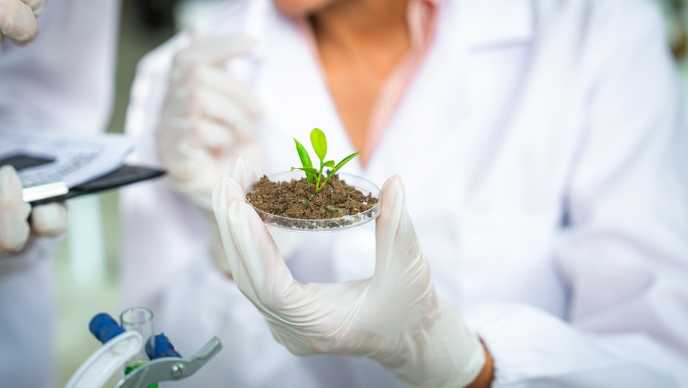 Natural capital could give Latin American startups a competitive advantage