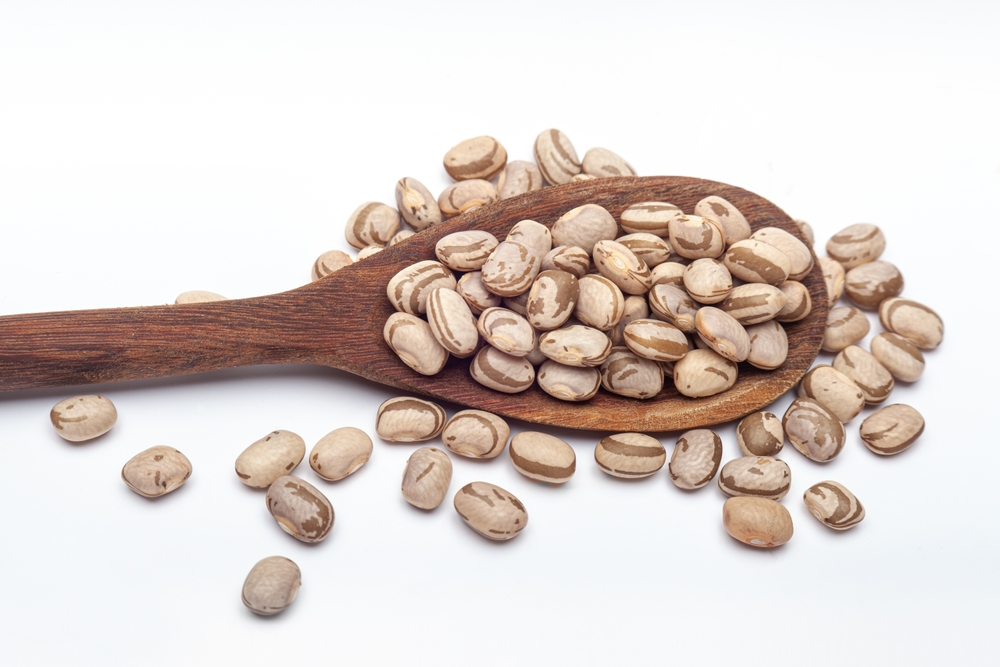 Researchers turn broken bean grains into a high-value protein ingredient