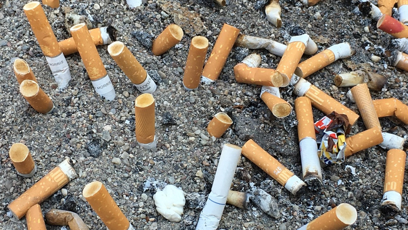 Cigarette butts are the most common type of litter on the planet, with 4.5 trillion being discarded each year