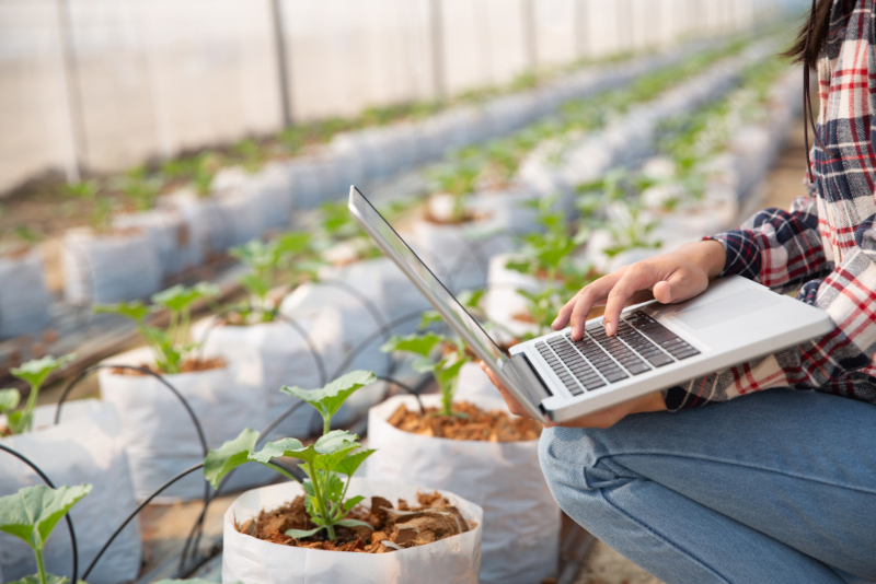Study identifies key factors for expanding Agriculture 4.0 in Brazil