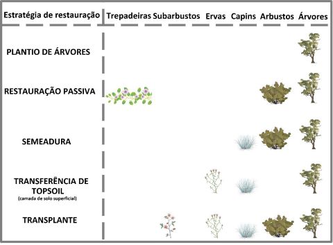 Síntese das principais formas de crescimento do Cerrado