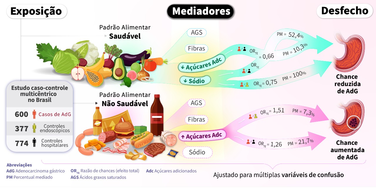 Infográfico explica melhor o estudo.  Carolina Frandsen Pereira da Costa