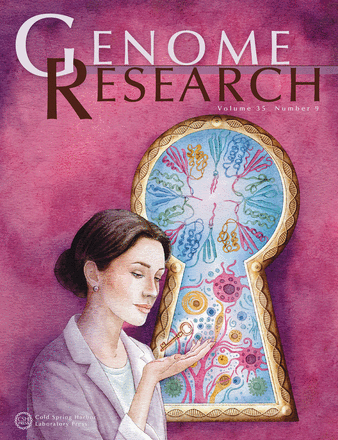 Ilustração da paciente Alice Brassanini Mena Barreto dos Reis, que superou o câncer de mama após tratamento com um dos coautores do artigo publicado na Genome Research (imagem: reprodução)