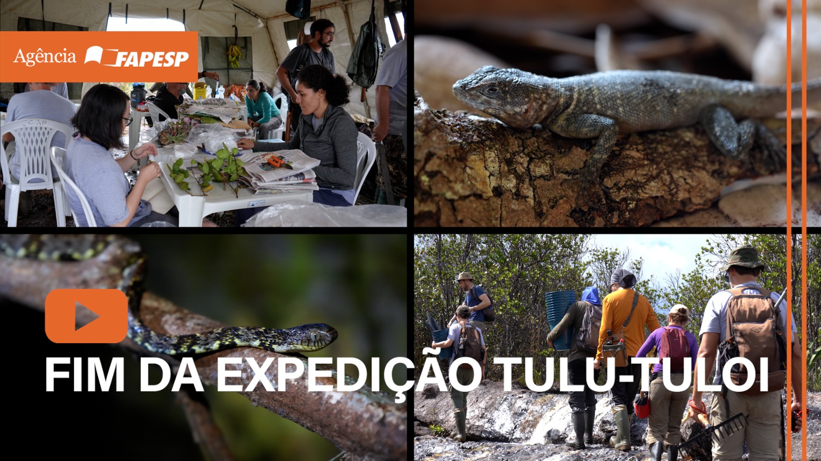 Expedição à Serra do Aracá chega ao fim e inicia fase de análises