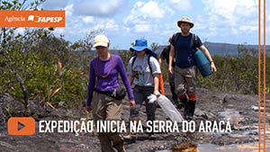 Expedição científica começa a revelar a biodiversidade da Serra do Aracá