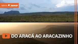 16 cientistas, 19 dias e dezenas de descobertas nos platôs da Amazônia