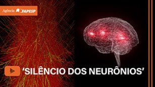 ‘Silêncio dos neurônios’ pode ajudar a prever e evitar crises epilépticas