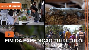 Expedição à Serra do Aracá chega ao fim e inicia fase de análises