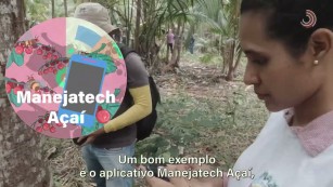 Ciência SP | Tecnologias digitais para as cadeias do açaí e do mel
