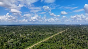 Projeto vai quantificar estoque de carbono no Brasil