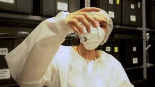 Ciência SP | Soro antiveneno reduz risco de necrose por picada de aranha-marrom