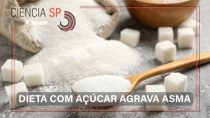 Ciência SP | Dieta rica em açúcar agrava a asma