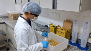 Ciência SP | Pesquisadores desenvolvem composto químico com potencial contra doença de Alzheimer