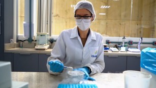 Ciência SP | Inovação para o controle de doenças em citros