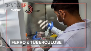 CSP | Nanopartícula de ferro elimina tuberculose em camundongos