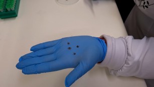 Ciência SP | Vacina contra a febre maculosa