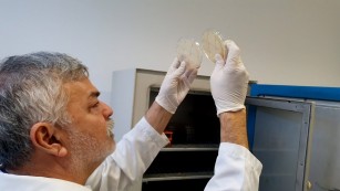 Ciência SP | Identificados 62 novos vírus com potencial para controle biológico