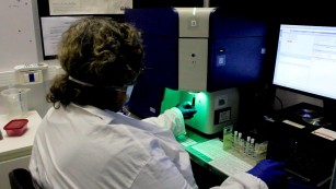 Ciência SP | Composto testado na USP reduz inflamação da COVID 19