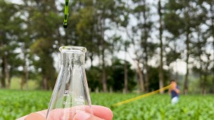 Ciência SP | Tecnologia transforma resíduo em adubo de baixo custo