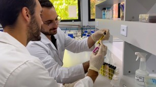 Ciência SP | Glitter prejudica ecossistemas aquáticos