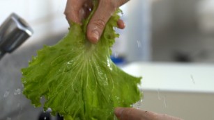 Como evitar riscos de intoxicação alimentar no ambiente doméstico