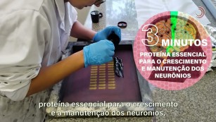 Ciência SP | Biossensor identifica na saliva proteína ligada a depressão e esquizofrenia