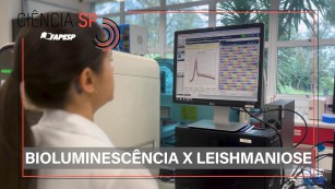 Ciência SP | Parasitas ‘brilhantes’ aceleram a luta contra leishmaniose