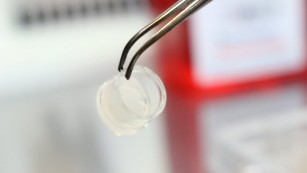 Ciência SP | Pele artificial 3D mais parecida com a humana