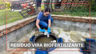 Ciência SP | Medidas simples reduzem risco do uso de água residual na agricultura familiar