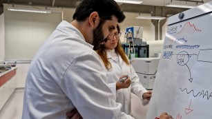 Ciência SP | Descoberto mecanismo molecular que pode auxiliar no tratamento da doença de Huntington