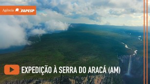 Ilhas de pedra na floresta amazônica