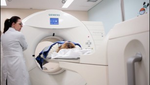 Ciência SP | Equipamento de tomografia com recursos de IA e biópsia guiada