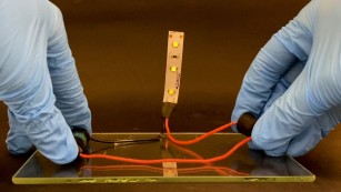 Ciência SP | Bagaço de cana vira embalagem para eletrônicos sensíveis