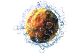 Modification makes immunotherapy for blood cancer even more effective