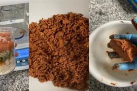 Investigadores desarrollan “carne vegana” a base de harina de girasol