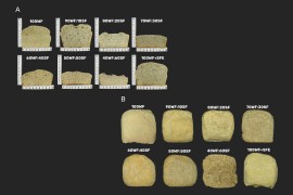 Reusing sunflower seed flour can make bread more protein-packed and rich in antioxidants
