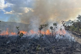 Livro reúne décadas de pesquisa sobre o papel do fogo em ecossistemas sul-americanos