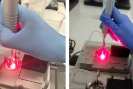 Animal study indicates that laser helps combat hypertension triggered by menopause