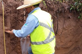 Método simplifica determinação de estoque de carbono no solo com laser e inteligência artificial