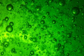 FAPESP e NWO lançam chamada sobre biorrefinarias sustentáveis