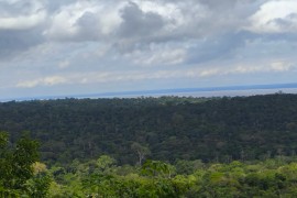 Deforestation in the Amazon raises the surface temperature by 3 °C during the dry season