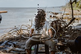 <i>Sambaquis</i> reveal changes in biodiversity and the diets of Amazonian peoples